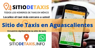 sitio de taxis aguascalientes