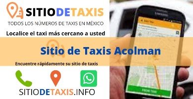 sitio de taxis acolman