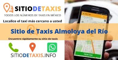 sitio de taxis almoloya del rio