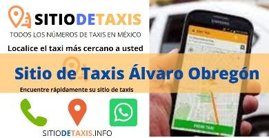 sitio de taxis alvaro obregon