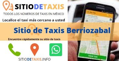 sitio de taxis berriozabal