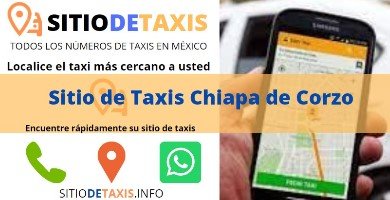 sitio de taxis chiapa de corzo