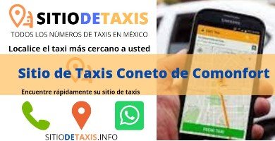 sitio de taxis coneto de comonfort