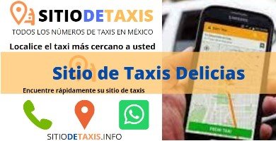 sitio de taxis delicias