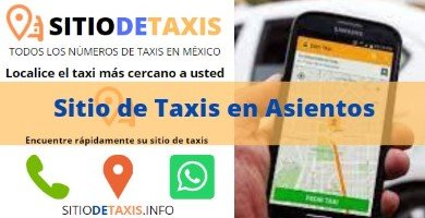 sitio de taxis en asientos