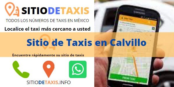 sitio de taxis en calvillo