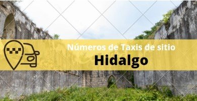 sitio de taxis en hidalgo