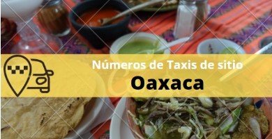 sitio de taxis en oaxaca