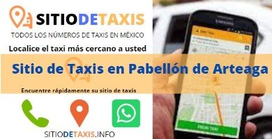 sitio de taxis en pabellon de arteaga
