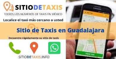 sitio de taxis guadalajara