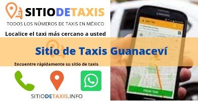 sitio de taxis guanacevi