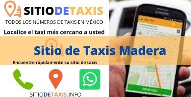sitio de taxis madera