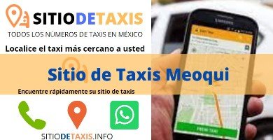 sitio de taxis meoqui