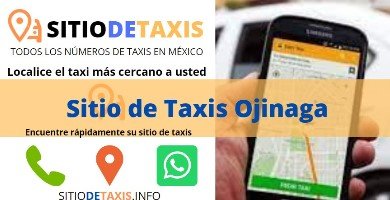 sitio de taxis ojinaga