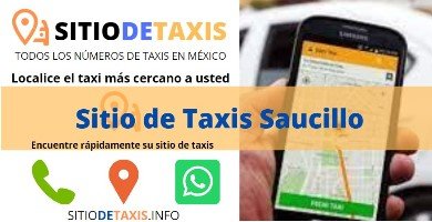 sitio de taxis saucillo