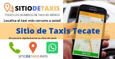 sitio de taxis tecate