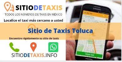sitio de taxis toluca
