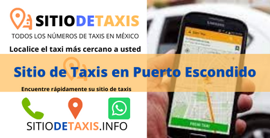 sitio de taxis puesto escondido