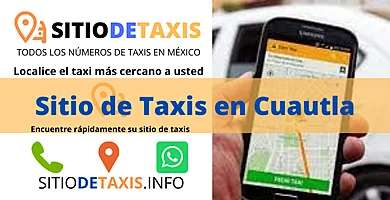sitio de taxis en cuautla