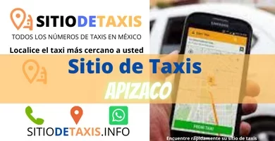 sitio de taxis apizaco