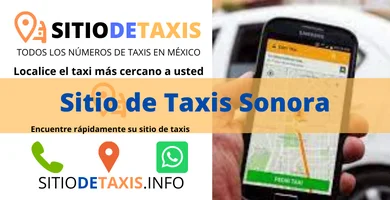 sitio de taxis en sonora