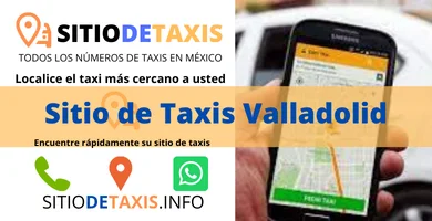 taxis en valladolid