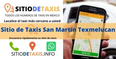 sitio de taxis san martin texmelucan