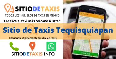 taxis tequisquiapan