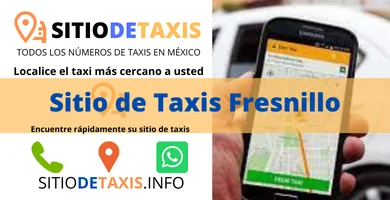 sitio de taxis en fresnillo