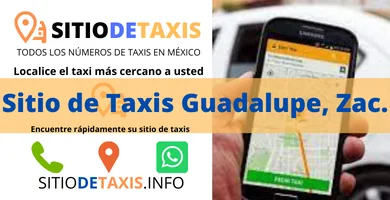 sitio de taxis en guadalupe