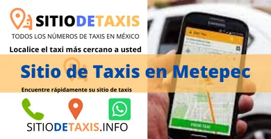 sitio de taxis en metepec
