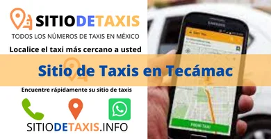 sitio de taxis en tecamac