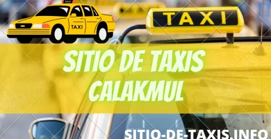Taxis de sitio en Calakmul