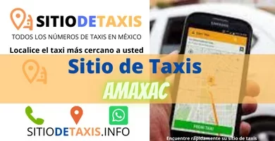 sitio de taxis amaxac
