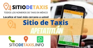 sitio de taxis apetitlan