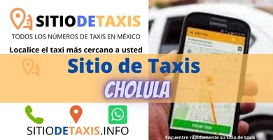 sitio de taxis cholula