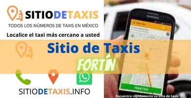 sitio de taxis fortín