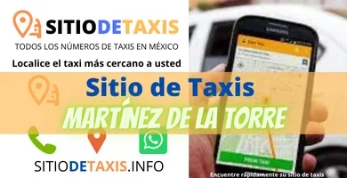 sitio de taxis martinez de la torre