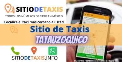 sitio de taxis tatauzoquico