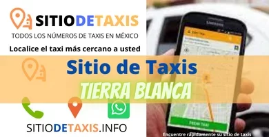 sitio de taxis tierra blanca