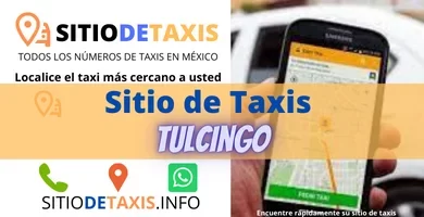 sitio de taxis tulcingo