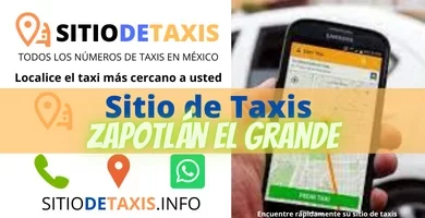 sitio de taxis zapotlan el grande