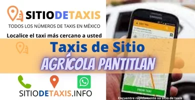taxis agricola pantitlan
