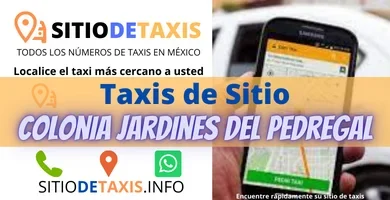 sitio de taxis jardines del pedregal
