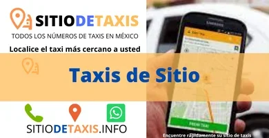 taxis de sitio