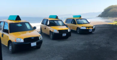 taxis en playa san pedrito