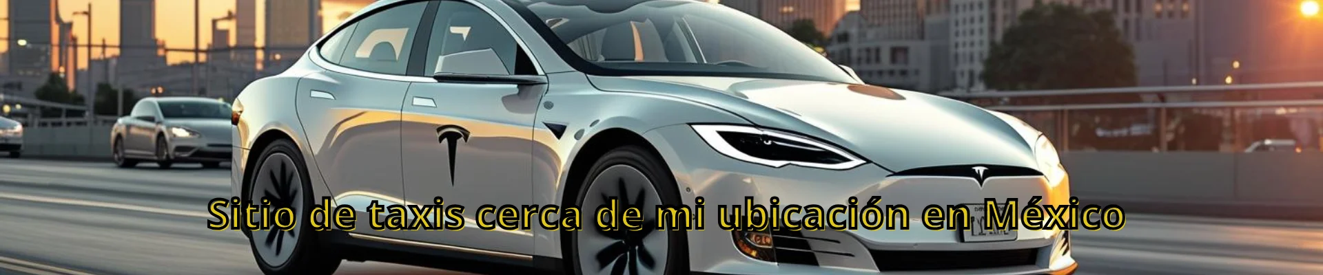 Sitio de Taxis